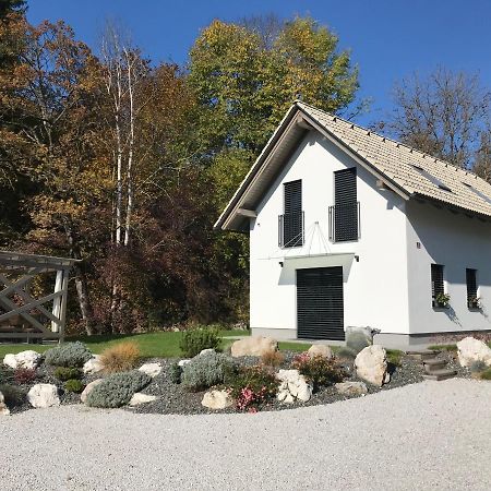 Brand New House Luna Bled Exterior photo